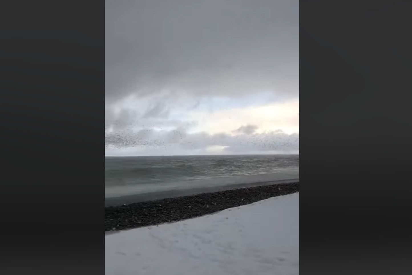თოვლით დაფარული ზღვის ნაპირი - უჩვეულო ამინდი ბათუმში (ვიდეო)