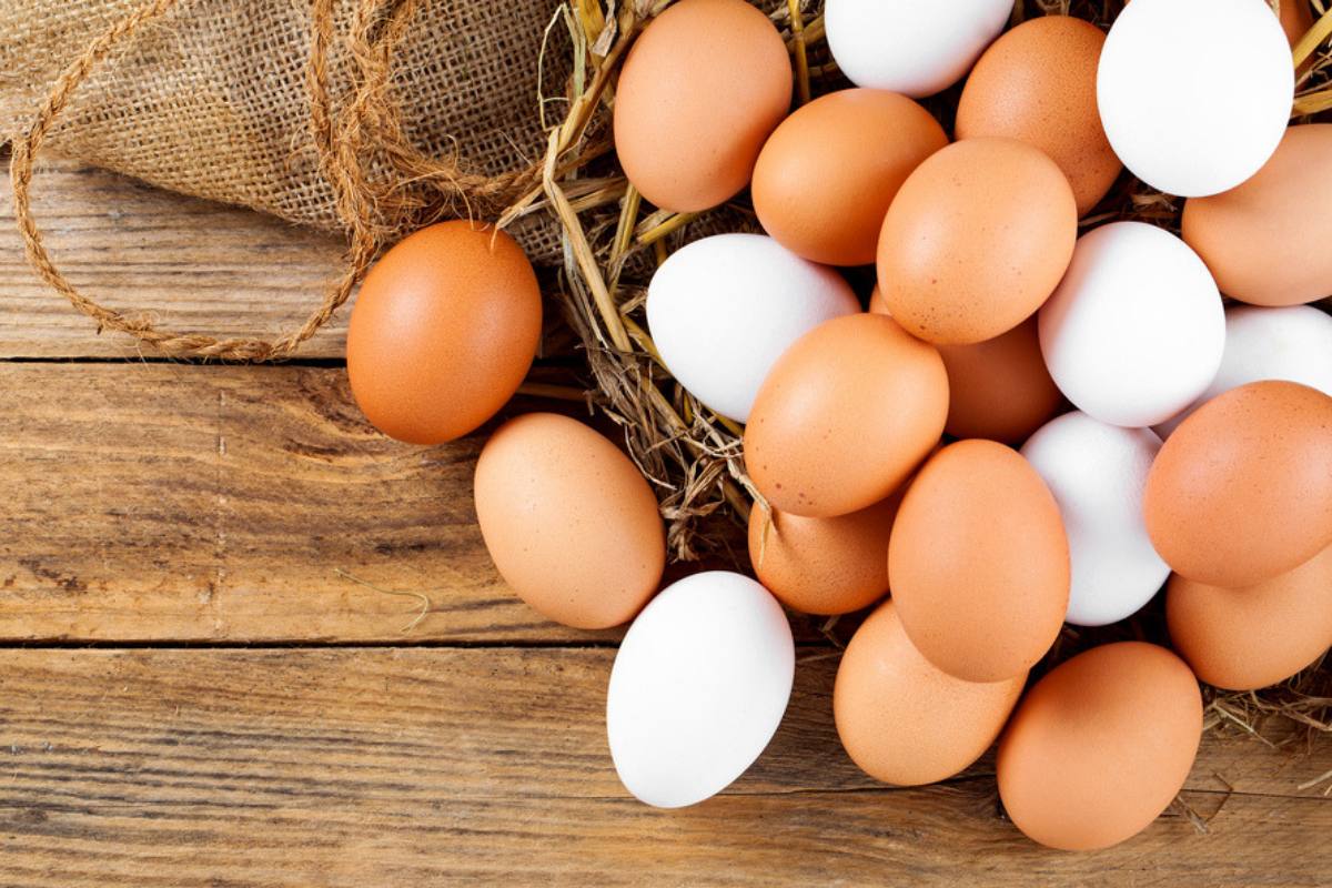 თეთრი კვერცხი უფრო სასარგებლოა თუ ყავისფერი და რამდენია რაციონში კვერცხის რეკომენდებული დასაშვები რაოდენობა?